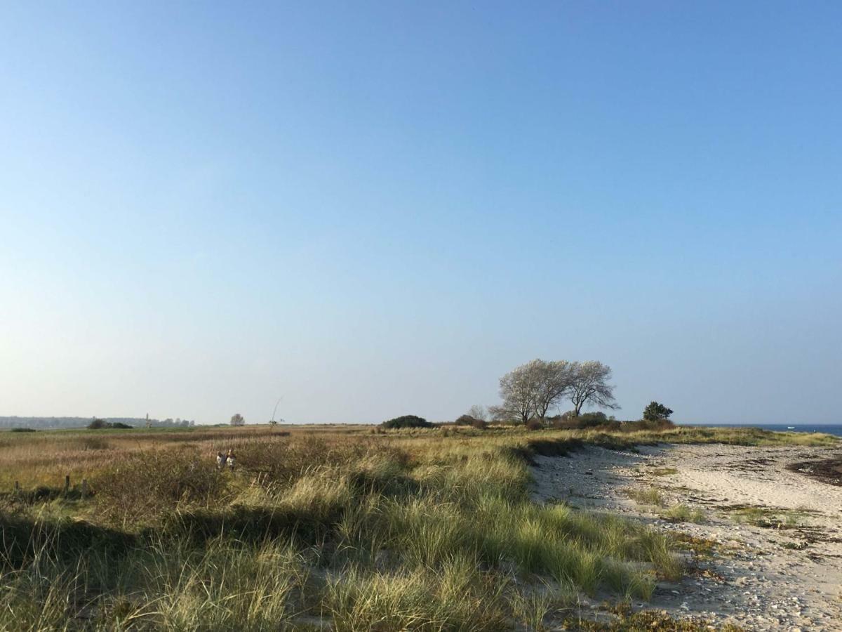Seesucht-Hohwacht - 110Qm Fewo Mit Toller Lage Am Kiefernweg מראה חיצוני תמונה